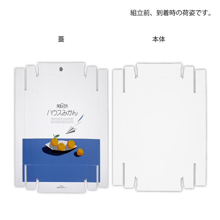 温室育ち B＆W（小） 果物箱 化粧箱 ハウスみかん プレゼントボックス