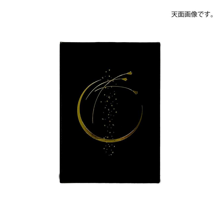 いちごギフト用化粧箱 こづちセット 果物箱 プレゼントボックス 贈答ケース 苺 300g×2パック 包装資材 発送箱 パッケージ 100枚入 （AA5708）の画像