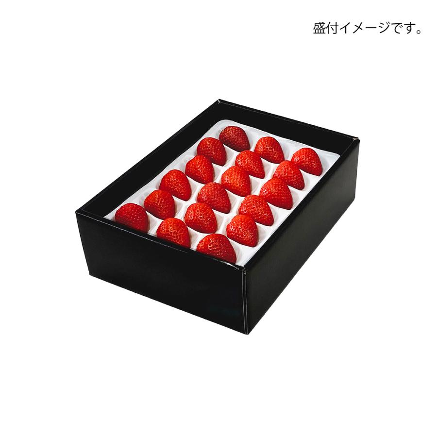 いちごギフト用化粧箱 こづちセット 果物箱 プレゼントボックス 贈答ケース 苺 300g×2パック 包装資材 発送箱 パッケージ 100枚入 （AA5708）の画像