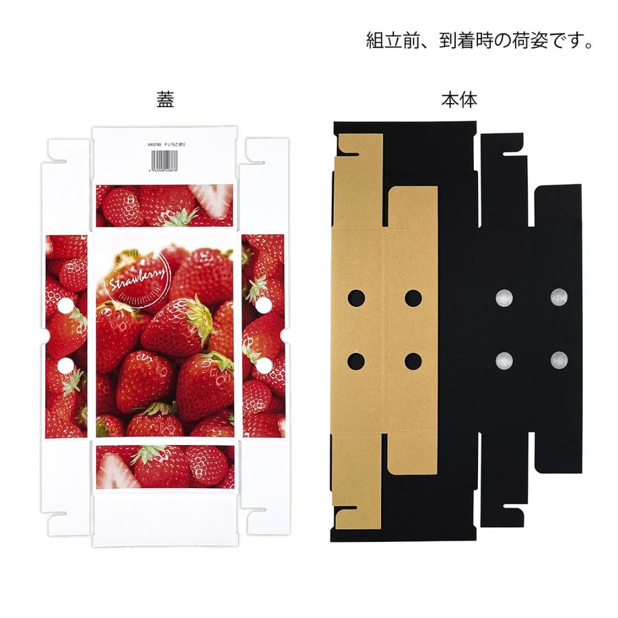 【紅つつみ】いちご　贈答用化粧箱 ギフトボックス 愛知県産 いちご 贈答用 GIFTBOX