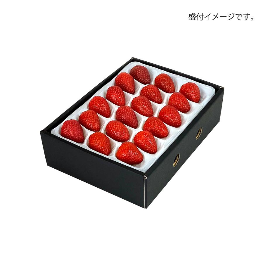 【紅つつみ】いちご　贈答用化粧箱 ギフトボックス 愛知県産 いちごギフト用化粧箱 いちご便り 果物箱 プレゼントボックス 贈答
