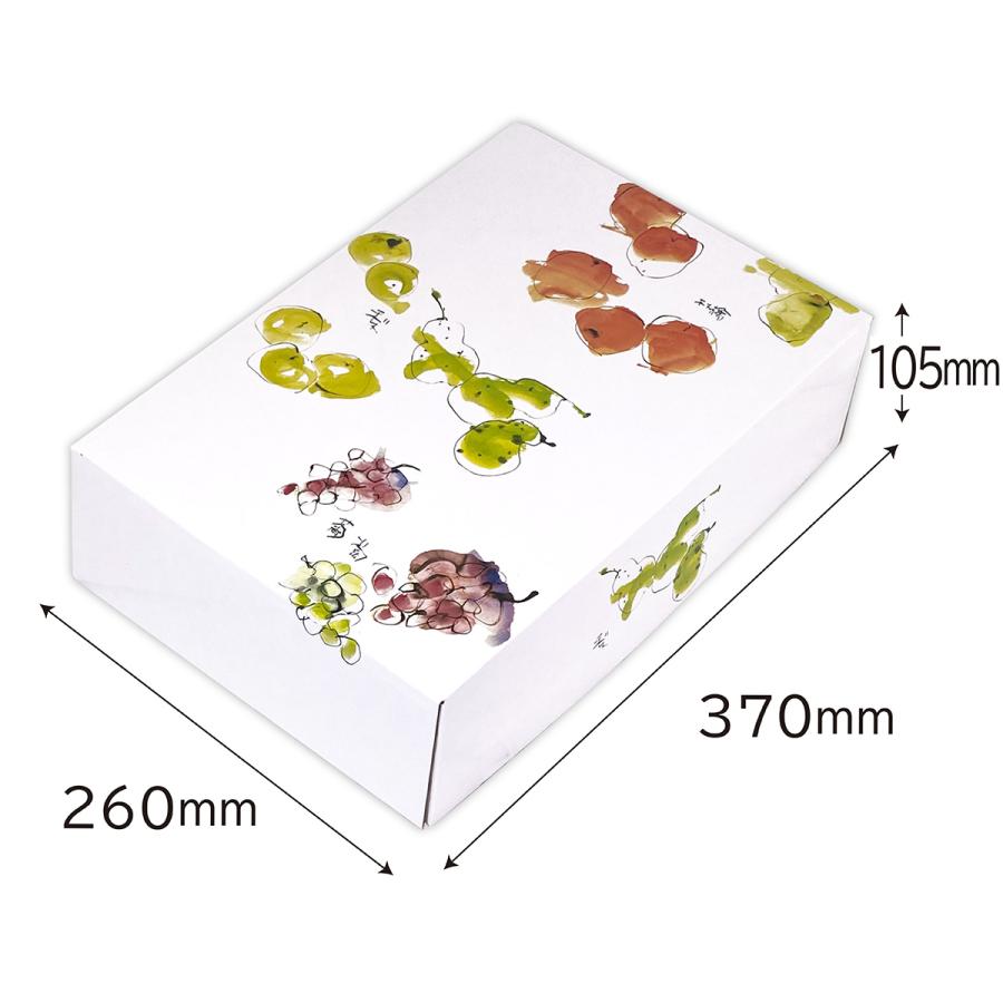 リンゴギフト用化粧箱 おもてなしBOX りんご3kg 果物用 プレゼント