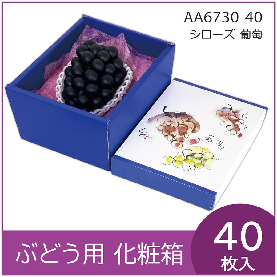 希少】ホテルニューオータニ60周年 フェイラー メロン 希少】ホテル