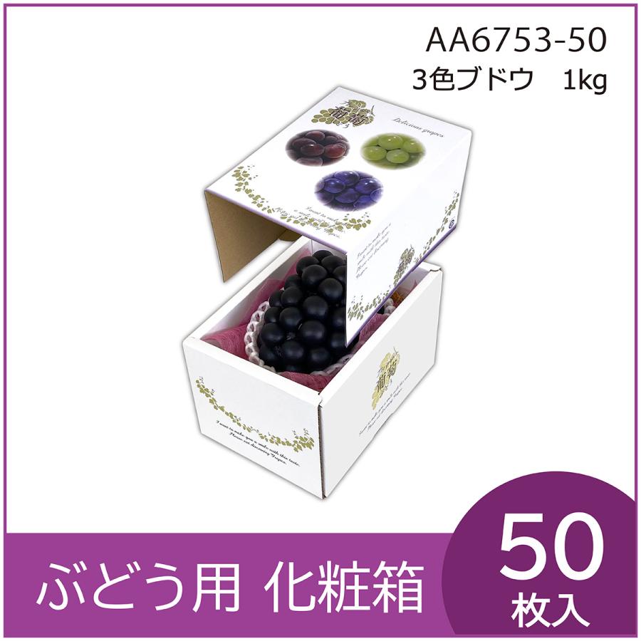 ブドウ・シャインマスカットギフト用化粧箱 3色ブドウ 1kg