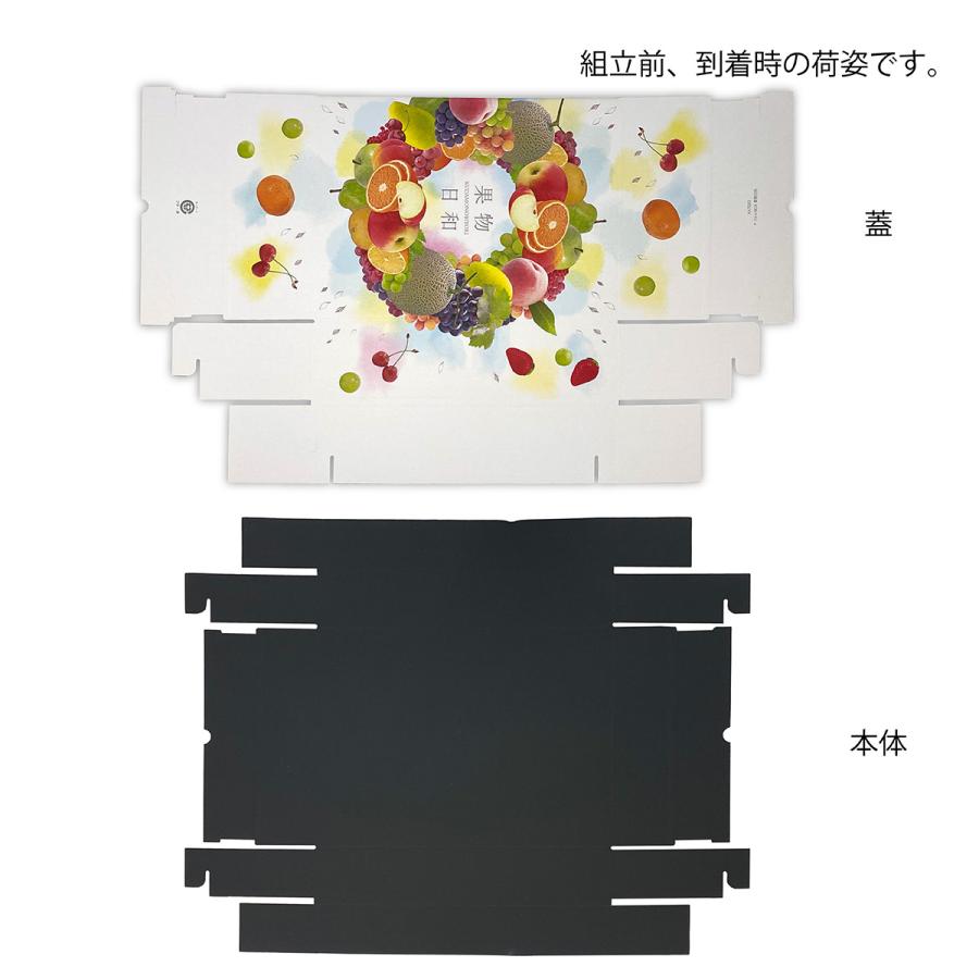 果物ギフト箱 フルルBOX果物日和 果物箱 化粧箱 プレゼントボックス 贈答用 桃 梨 柑橘 フルーツ詰め合わせ用 パッケージ 包装資材 発送箱 60枚入 （AA7092）の画像