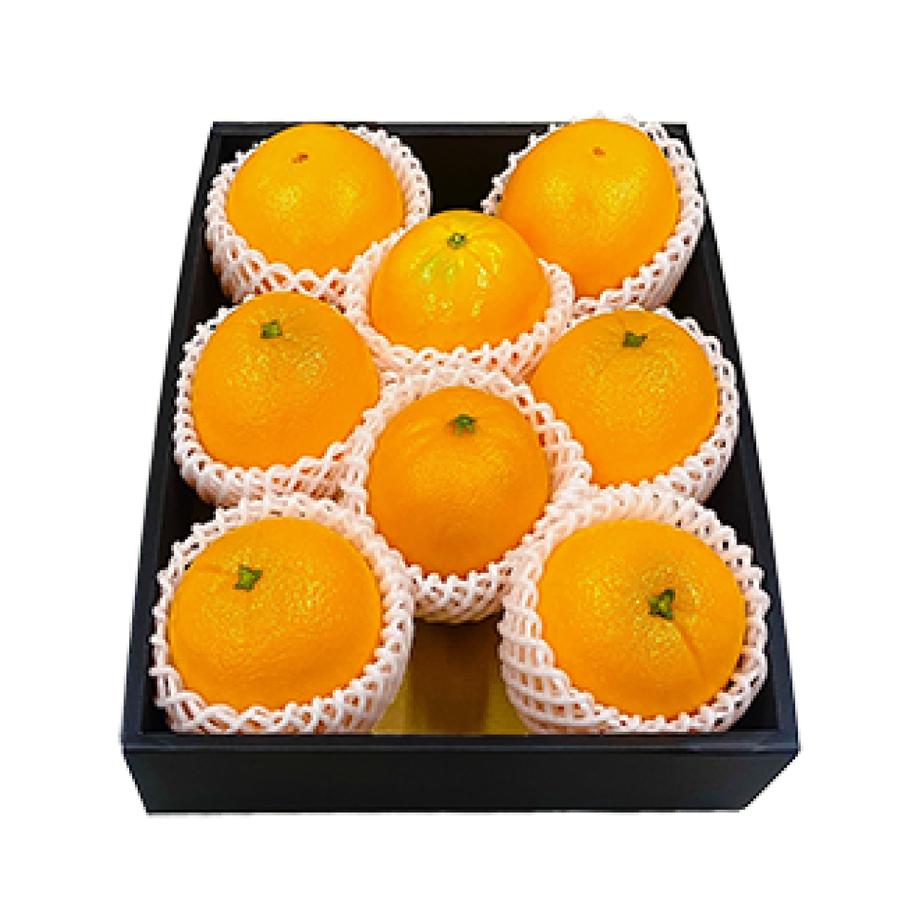 果物ギフト箱 フルルBOX果物日和 果物箱 化粧箱 プレゼントボックス 贈答用 桃 梨 柑橘 フルーツ詰め合わせ用 パッケージ 包装資材 発送箱 60枚入 （AA7092）の画像