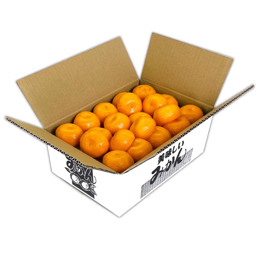 発送用段ボール 美味しいみかん 3kg 果物箱 化粧箱 プレゼントボックス