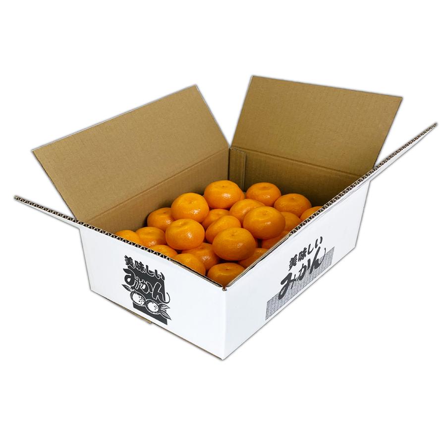 発送用段ボール 美味しいみかん 5kg 果物箱 化粧箱 プレゼントボックス