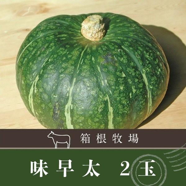野菜 かぼちゃ 北海道産 南瓜 2玉入 2.8kg 南瓜｜hakonebokujo