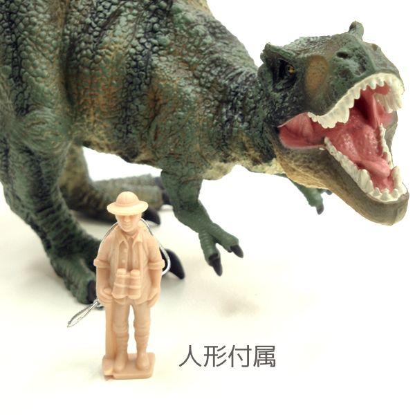 コレクタ 恐竜フィギュア 88251 ティラノサウルス デラックス 1:40 Collecta｜hakoniwa｜05