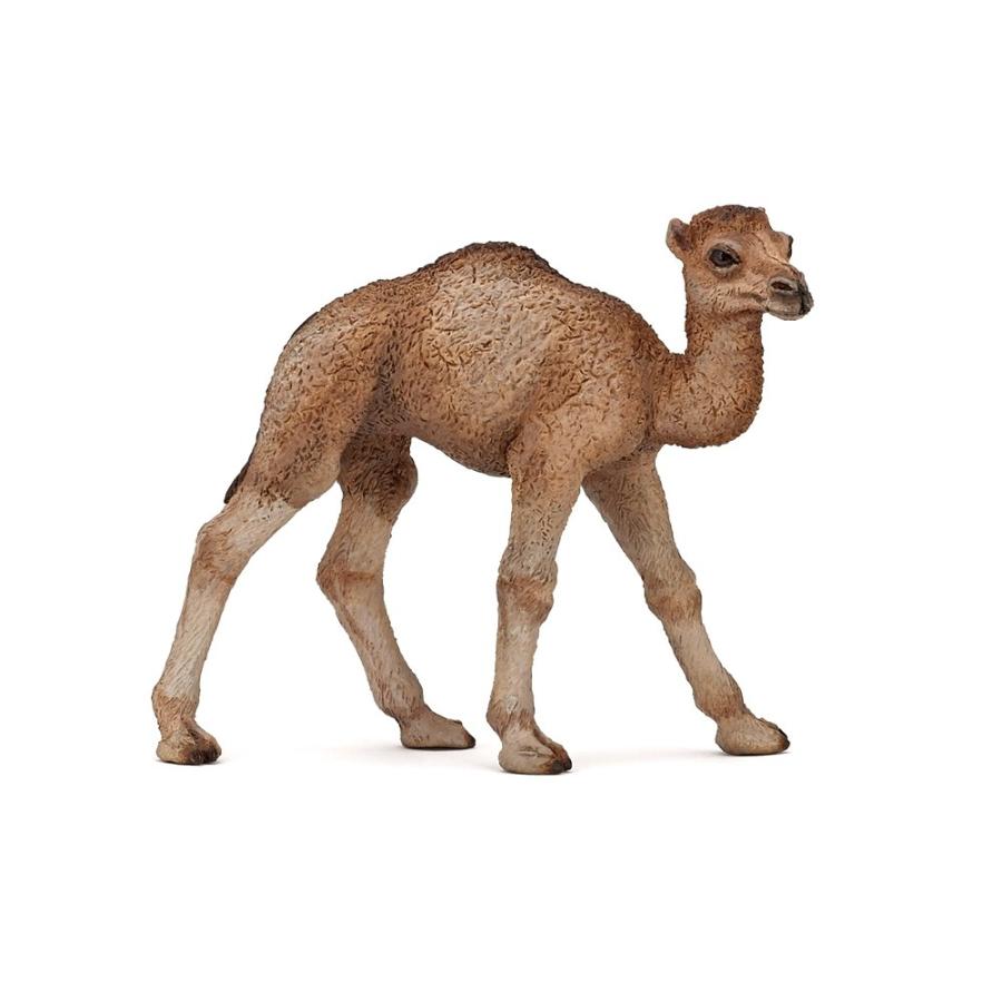 Papo パポ ヒトコブラクダの子ども 動物フィギュア 動物フィギュアの箱庭 通販 Yahoo ショッピング
