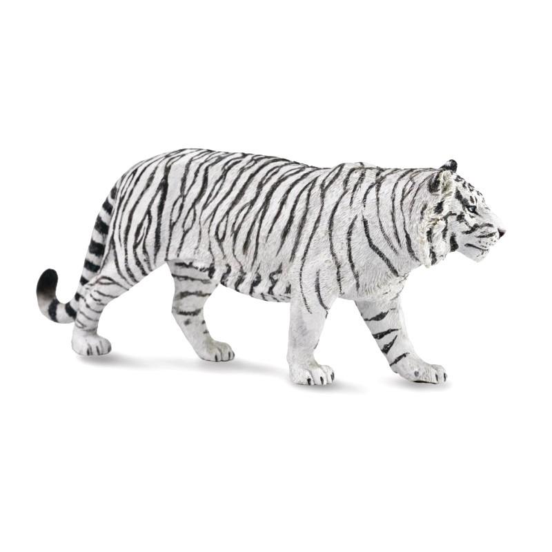 ホワイトタイガー フィギュア 小型 コレクタ／COLLECTA 88790 ホワイトタイガー 動物フィギュア : 動物