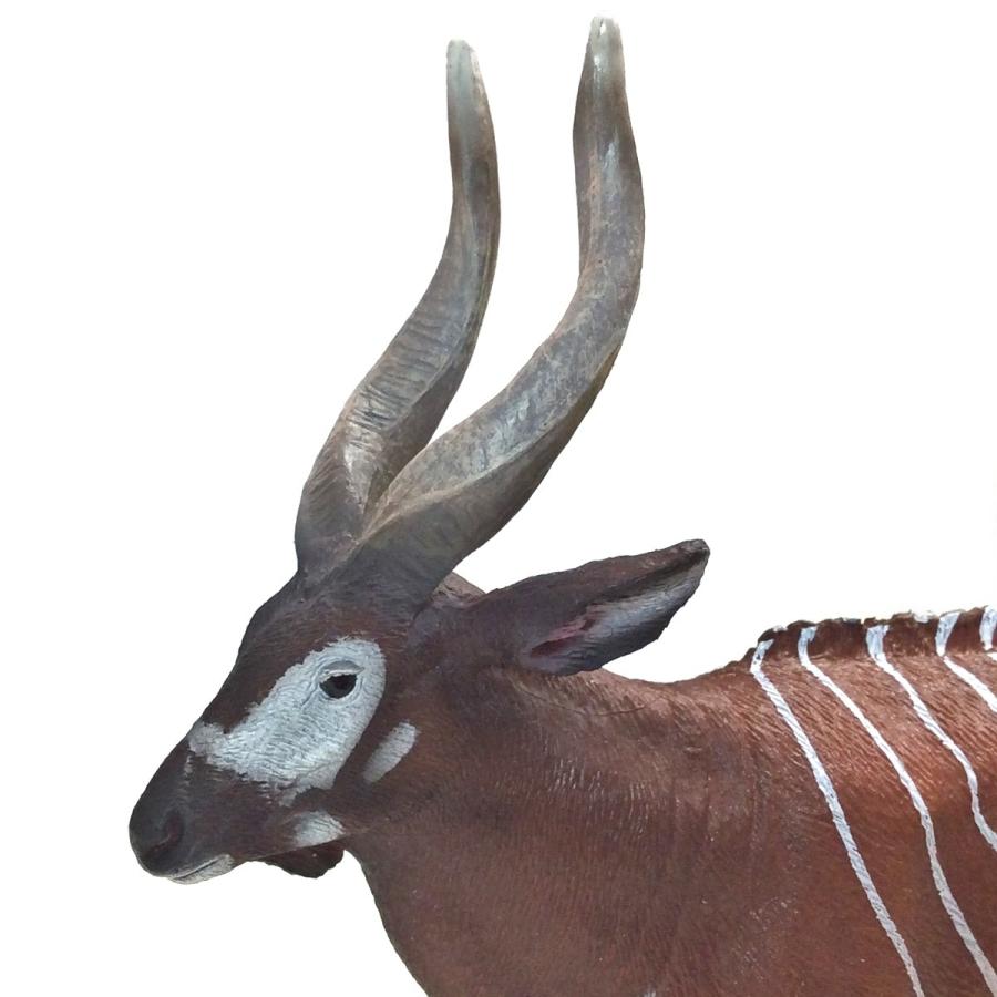 コレクタ Collecta 809 ボンゴ 動物フィギュア 動物フィギュアの箱庭 通販 Yahoo ショッピング