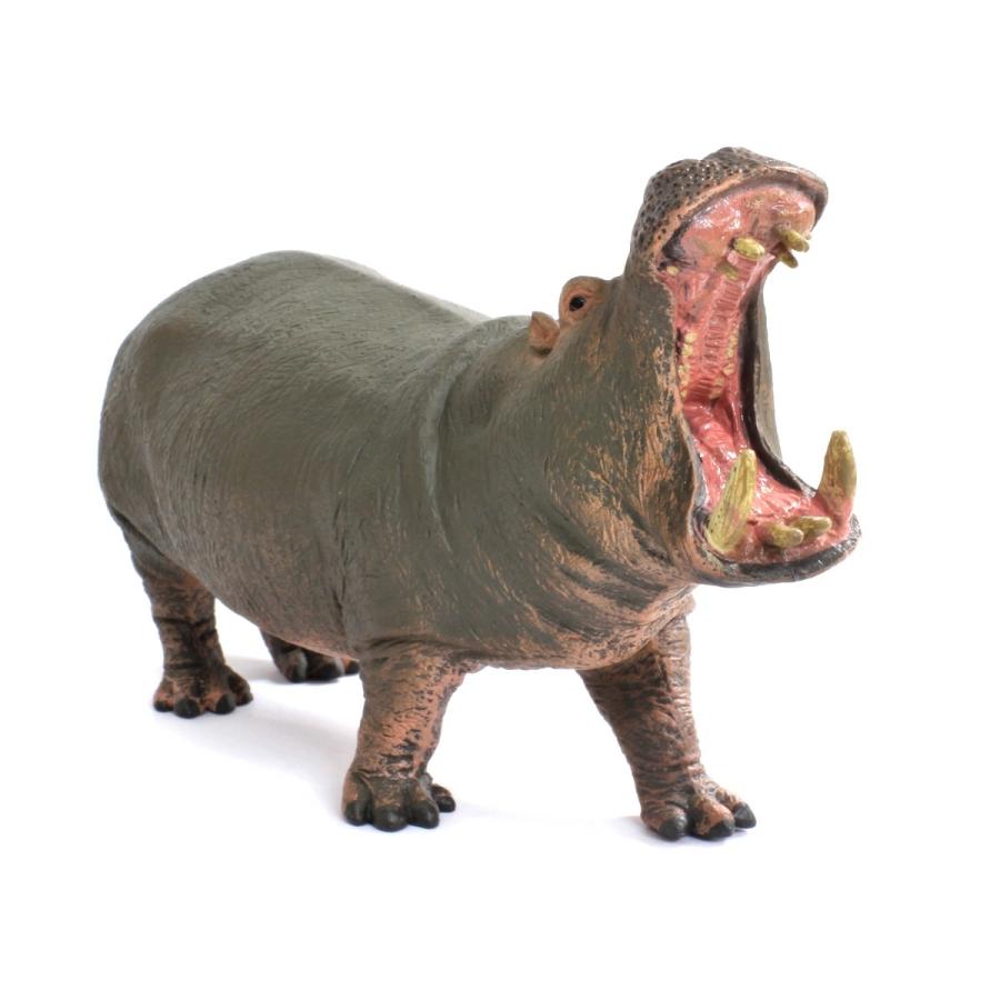 コレクタ Collecta 8 カバ 動物フィギュア 動物フィギュアの箱庭 通販 Yahoo ショッピング