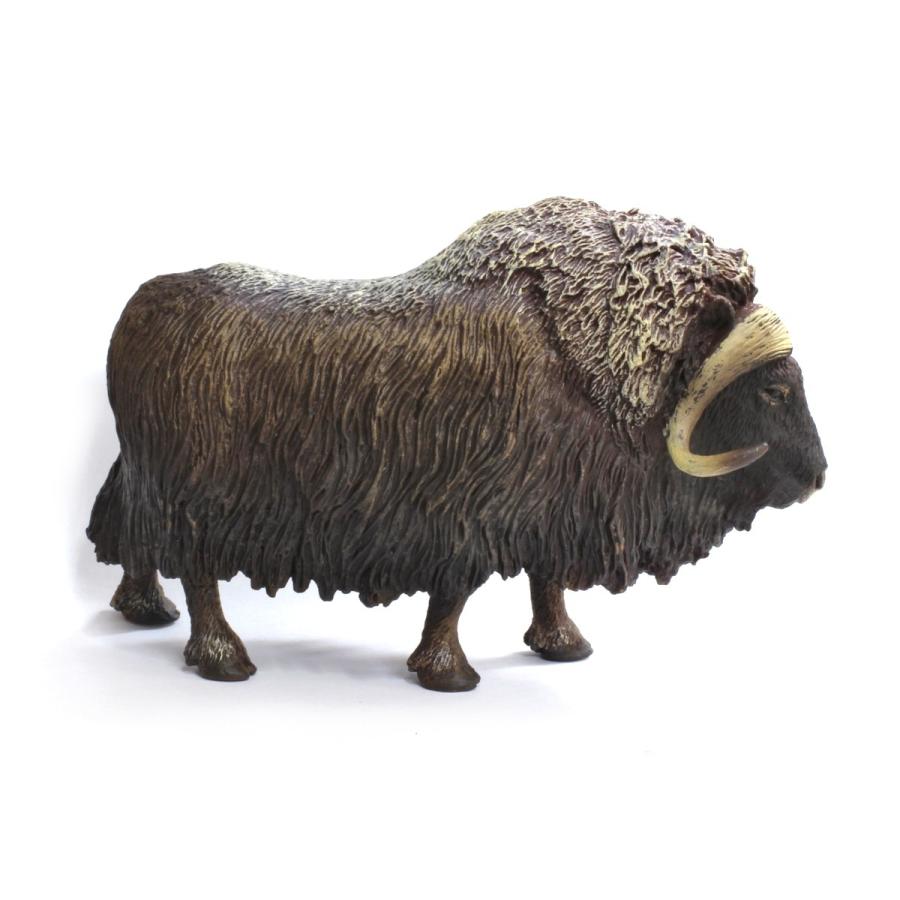 コレクタ／COLLECTA 88837 ジャコウウシ 動物フィギュア : 動物