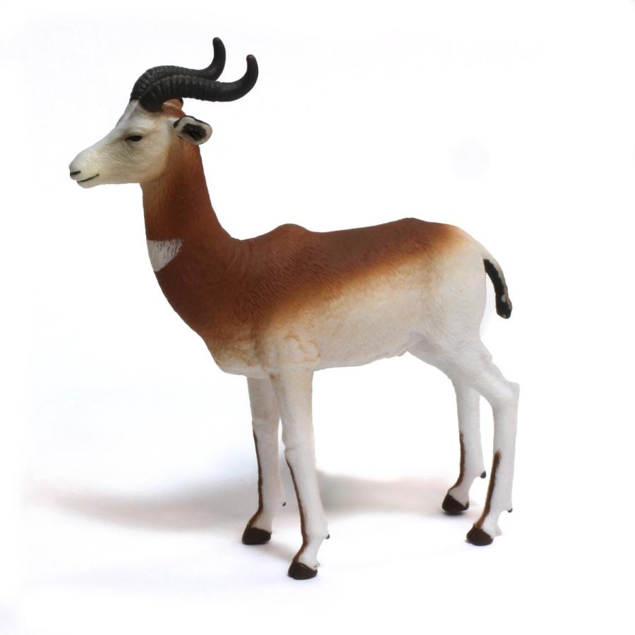 コレクタ Collecta 865 ダマガゼル 動物フィギュア 動物フィギュアの箱庭 通販 Yahoo ショッピング