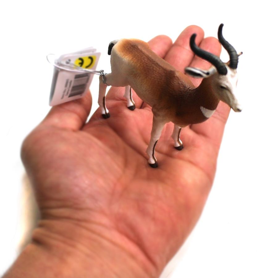 コレクタ Collecta 865 ダマガゼル 動物フィギュア 動物フィギュアの箱庭 通販 Yahoo ショッピング