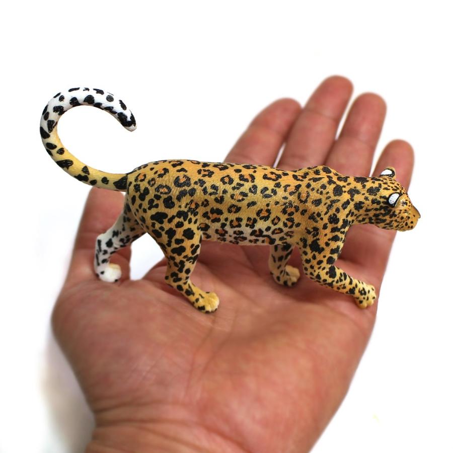 コレクタ／COLLECTA 88866 ヒョウ 動物フィギュア : 動物フィギュアの