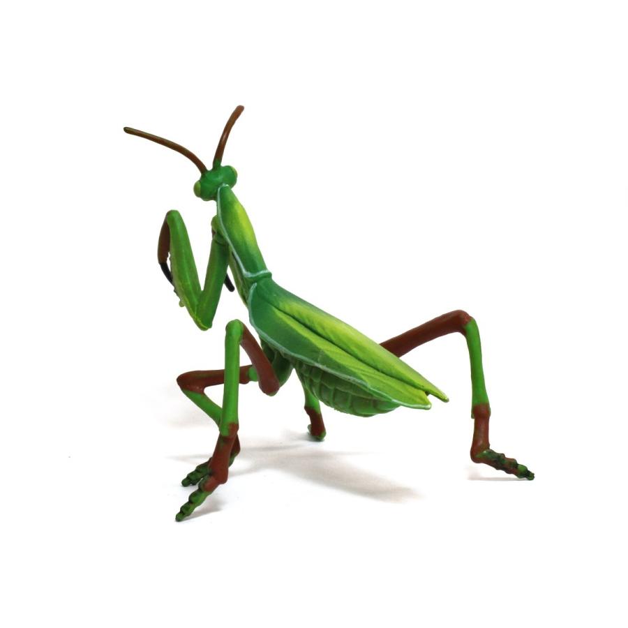 Papo パポ カマキリ 動物フィギュア 動物フィギュアの箱庭 通販 Yahoo ショッピング