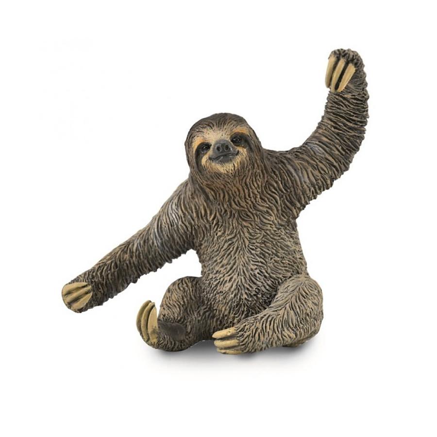 コレクタ／COLLECTA 88898 ナマケモノ 動物フィギュア : 動物