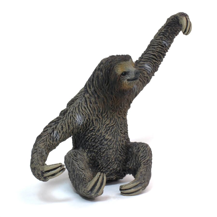 コレクタ／COLLECTA 88898 ナマケモノ 動物フィギュア : 動物