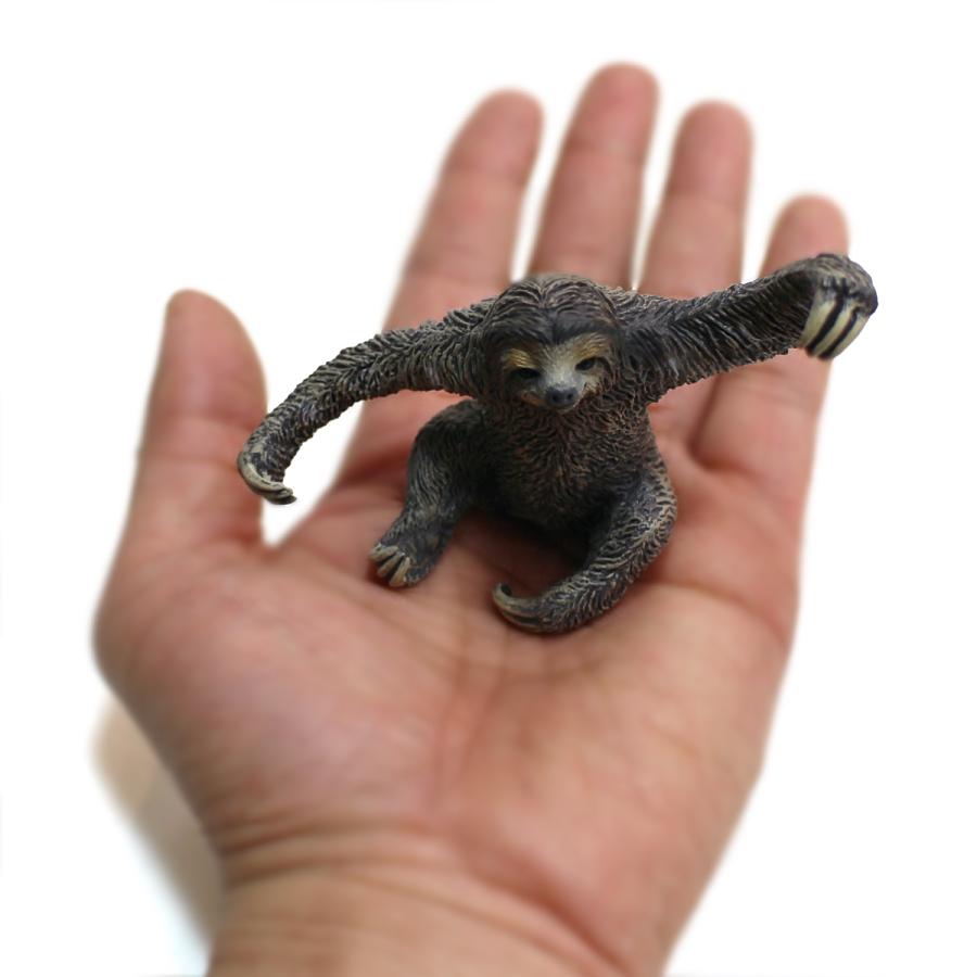 コレクタ／COLLECTA 88898 ナマケモノ 動物フィギュア : 動物