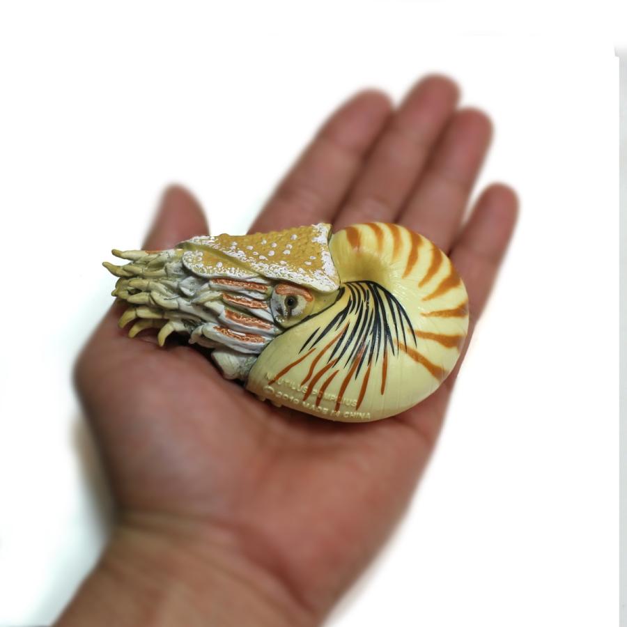 コレクタ 古生代生物フィギュア 88907 オウムガイ Collecta : 動物