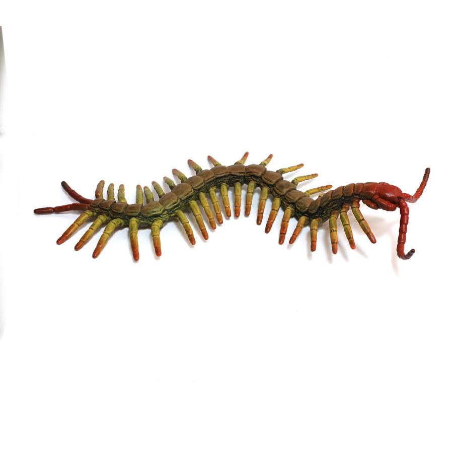 コレクタ／COLLECTA 88885 ムカデ 昆虫フィギュア : 動物フィギュアの