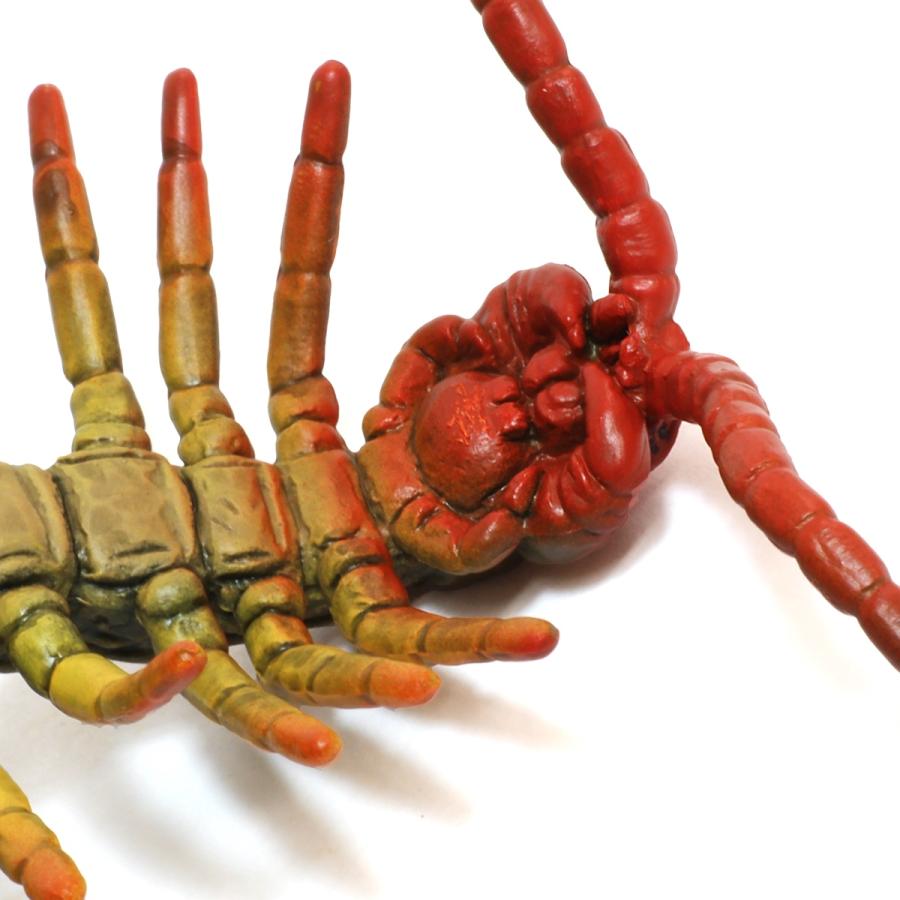 コレクタ Collecta 5 ムカデ 昆虫フィギュア 動物フィギュアの箱庭 通販 Yahoo ショッピング