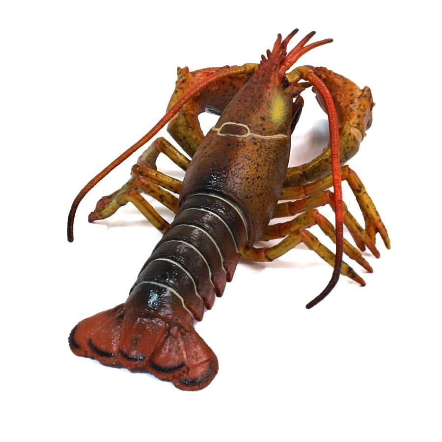 コレクタ／COLLECTA 88920 ロブスター 動物フィギュア : 動物