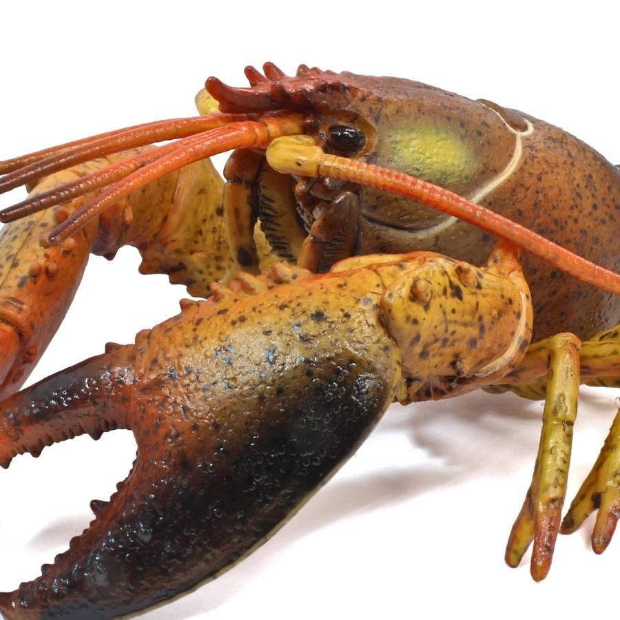 コレクタ／COLLECTA 88920 ロブスター 動物フィギュア : 動物