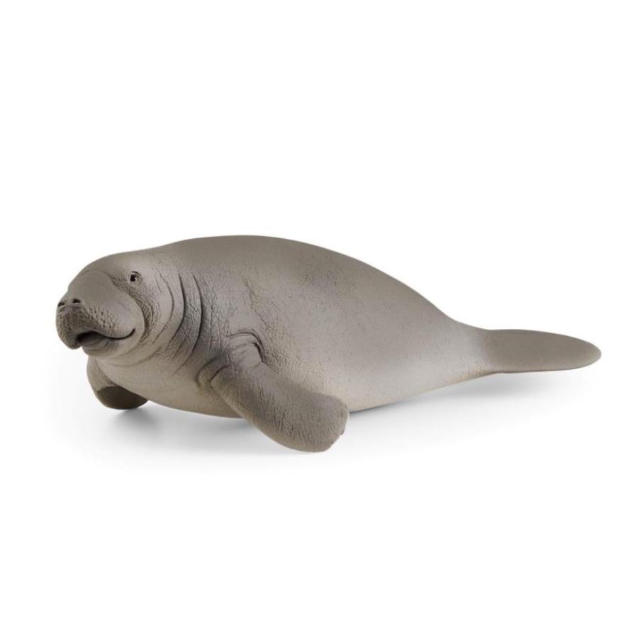 シュライヒ 149 マナティー 動物フィギュア 609 動物フィギュアの箱庭 通販 Yahoo ショッピング