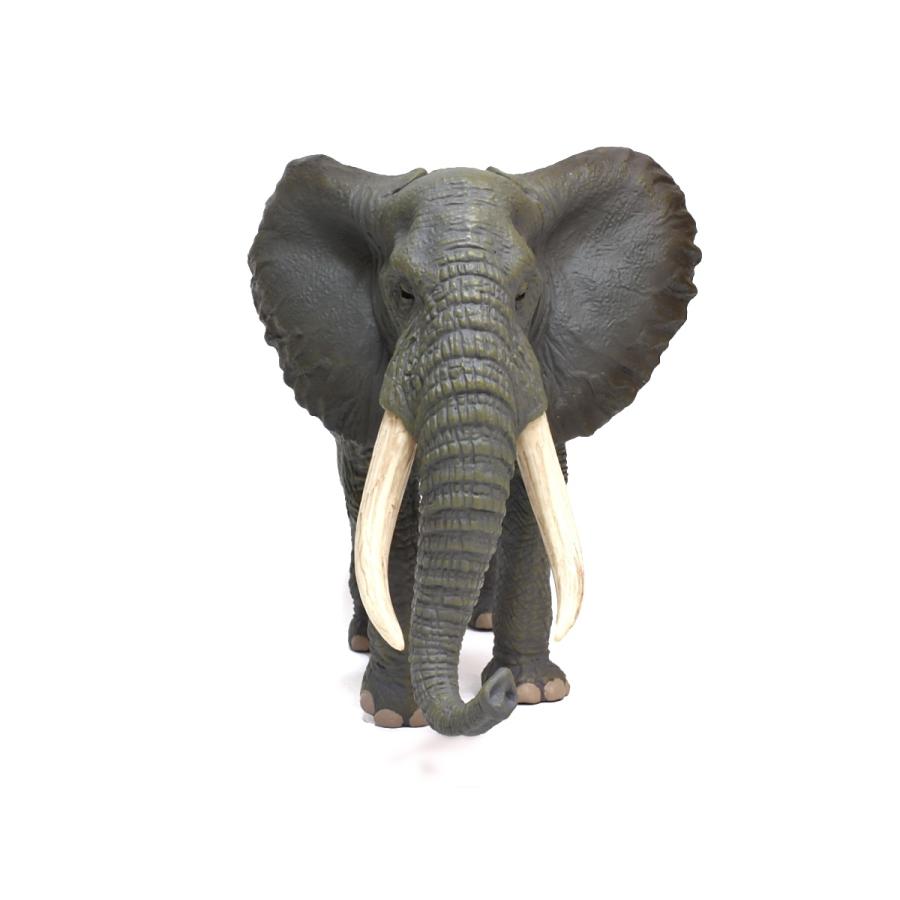 コレクタ／COLLECTA 88966 アフリカゾウ 動物フィギュア : 動物
