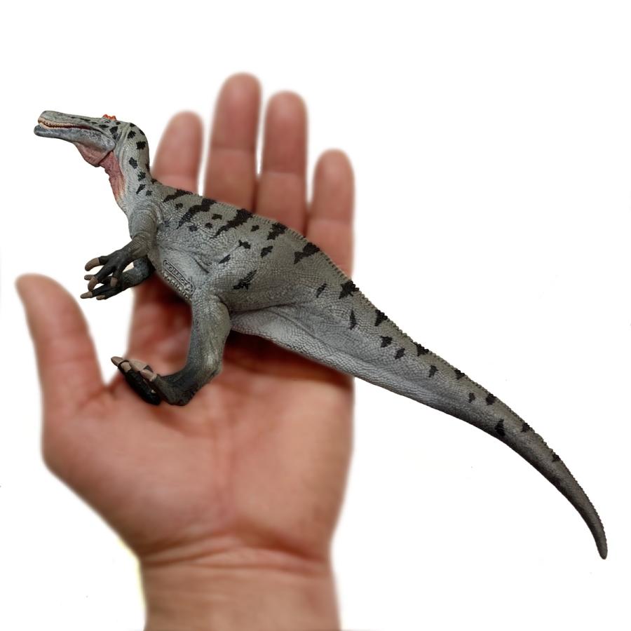 コレクタ 恐竜フィギュア 88972 ケラトスコプス Collecta : 動物