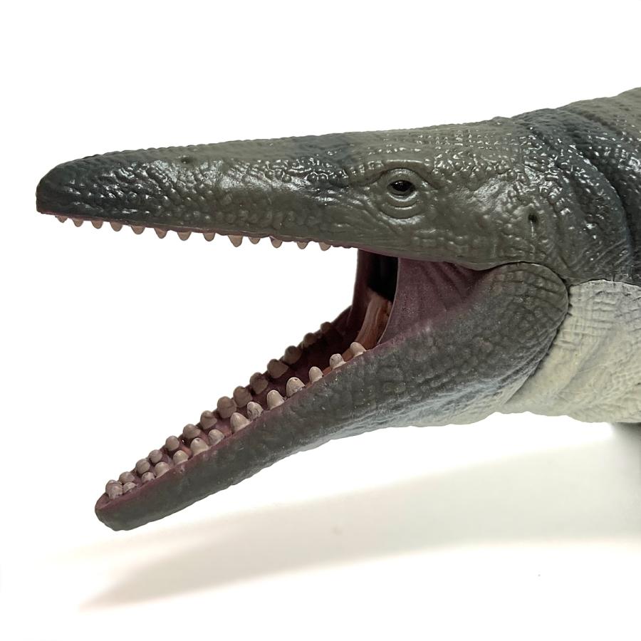 コレクタ 恐竜フィギュア 88975 モササウルス DX Collecta : 動物