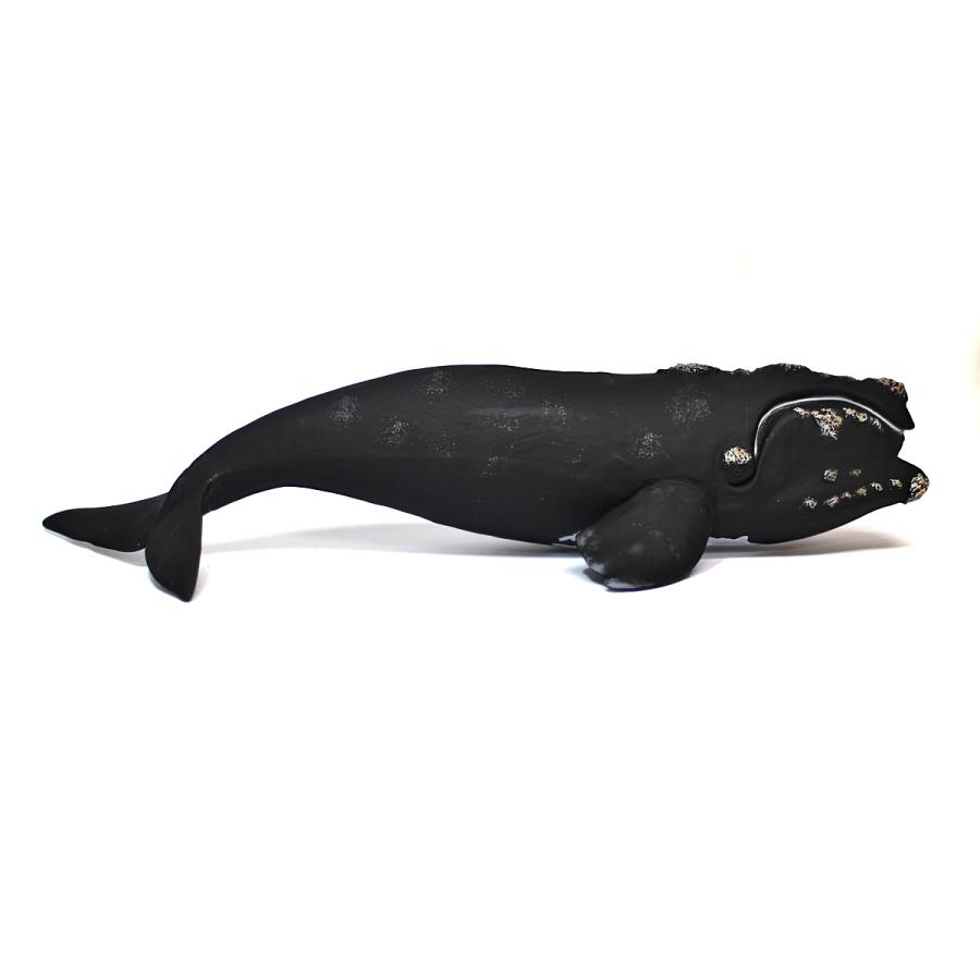 Collecta 88740 セミクジラ 動物フィギュア : 動物フィギュアの箱庭