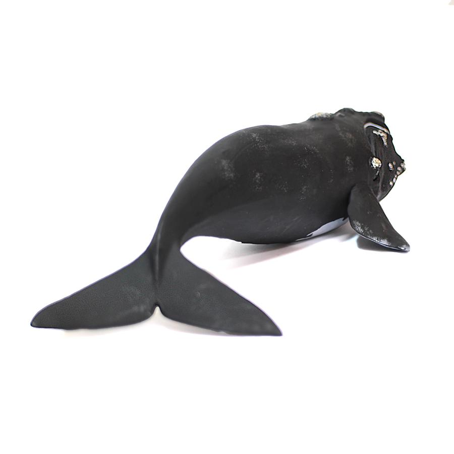 Collecta 88740 セミクジラ 動物フィギュア : 動物フィギュアの箱庭