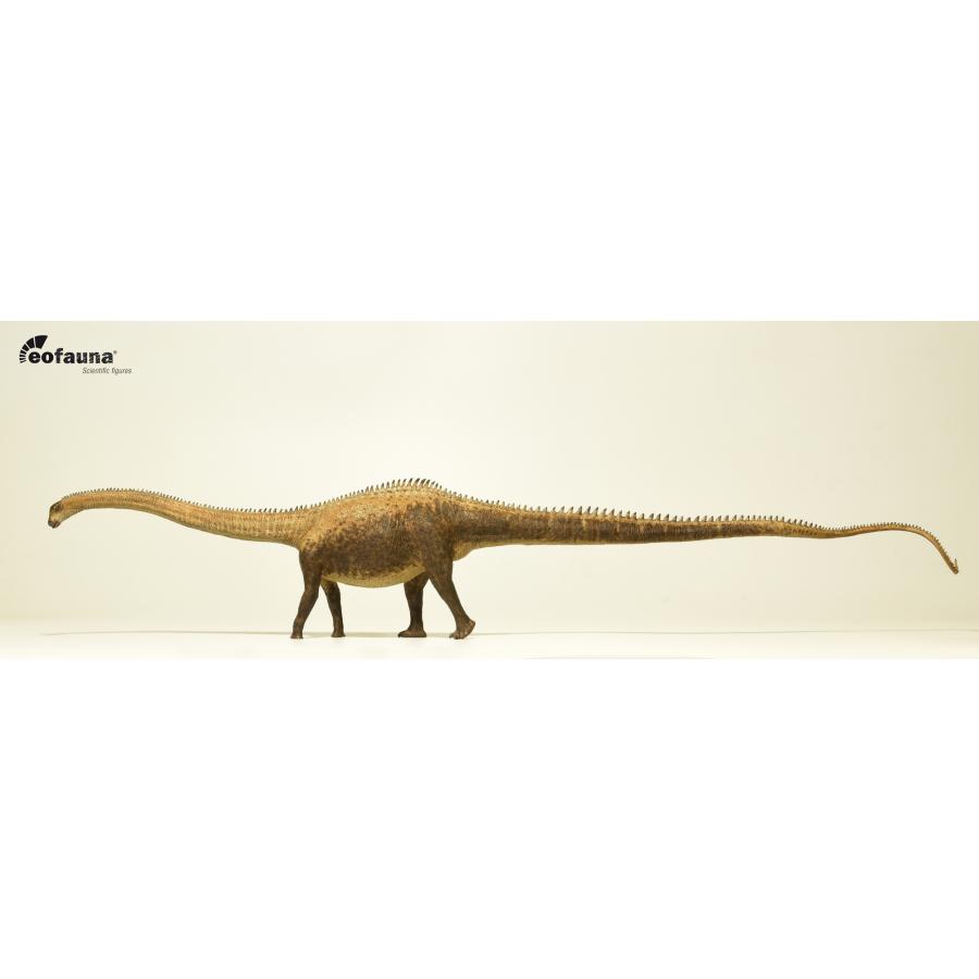 eofauna 恐竜フィギュア FIG-007 ディプロドクス 1:40 : 動物 eofauna 恐竜フィギュア FIG-007 ディプロドクス 1:40 : 動物