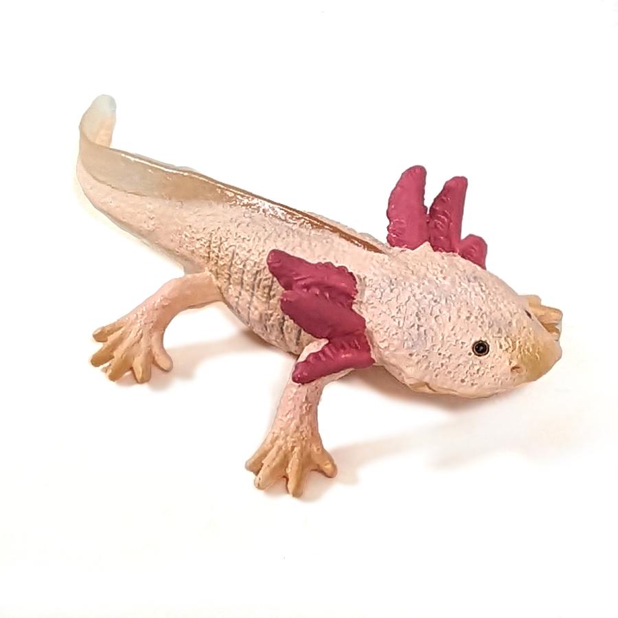 Collecta 80015 メキシコサンショウウオ（ウーパールーパー） 動物フィギュア |  | 01