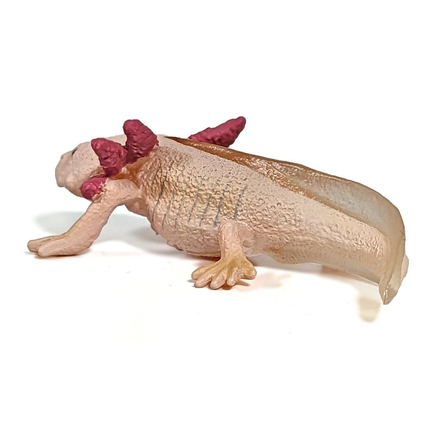 Collecta 80015 メキシコサンショウウオ（ウーパールーパー） 動物フィギュア |  | 02