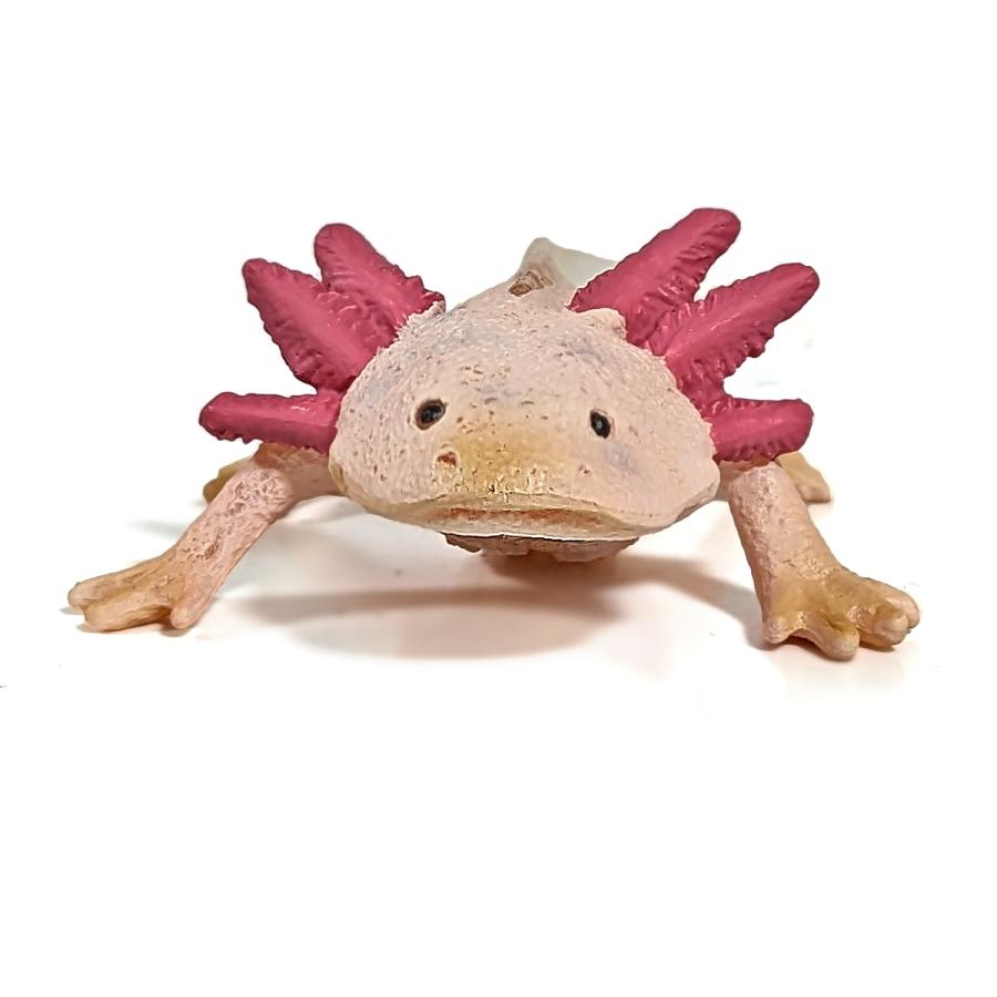 Collecta 80015 メキシコサンショウウオ（ウーパールーパー） 動物フィギュア |  | 03