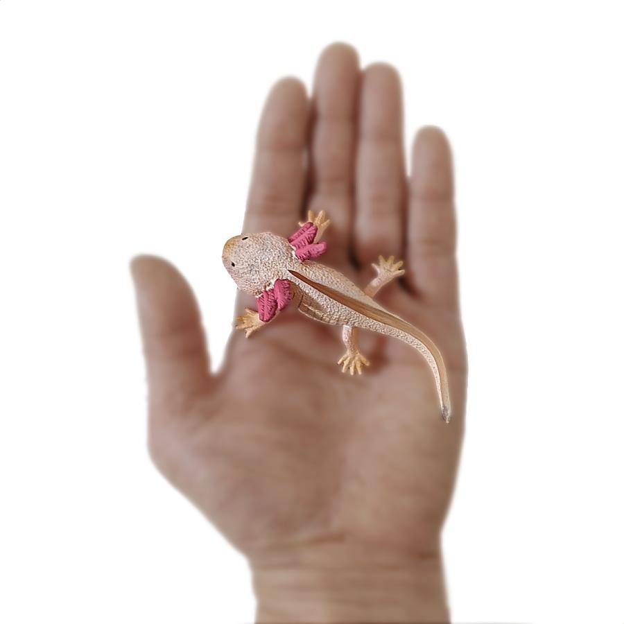 Collecta 80015 メキシコサンショウウオ（ウーパールーパー） 動物フィギュア |  | 04