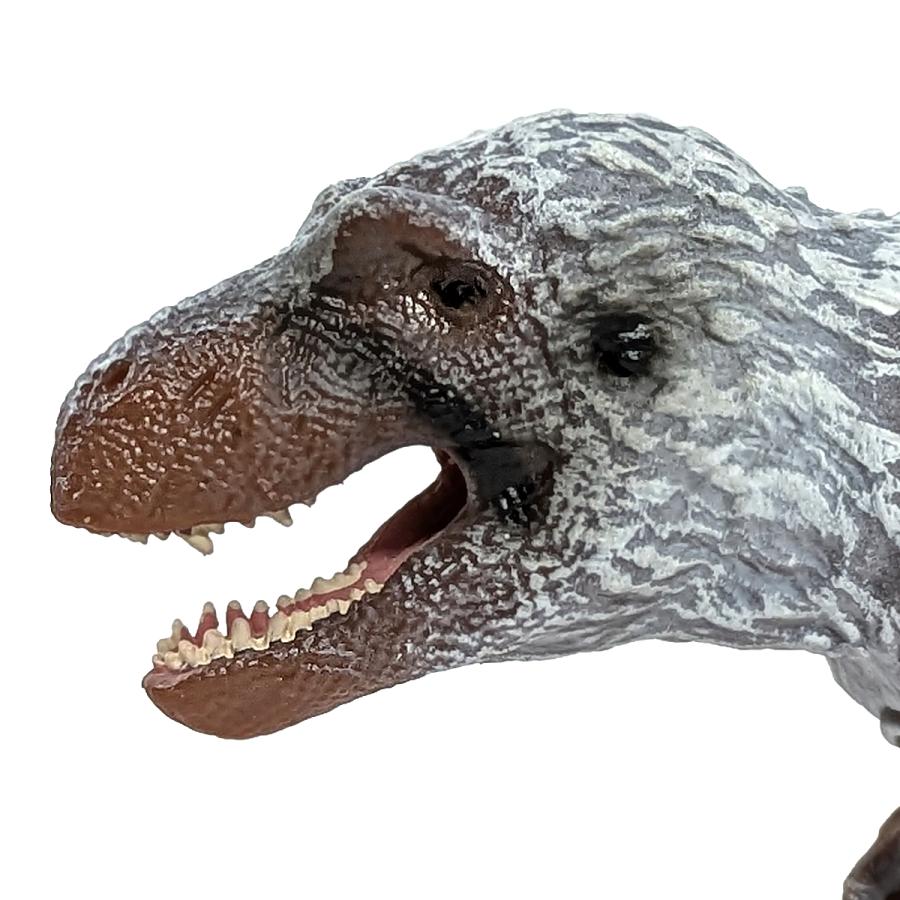 Collecta 80016 ナヌークサウルス 恐竜フィギュア |  | 04