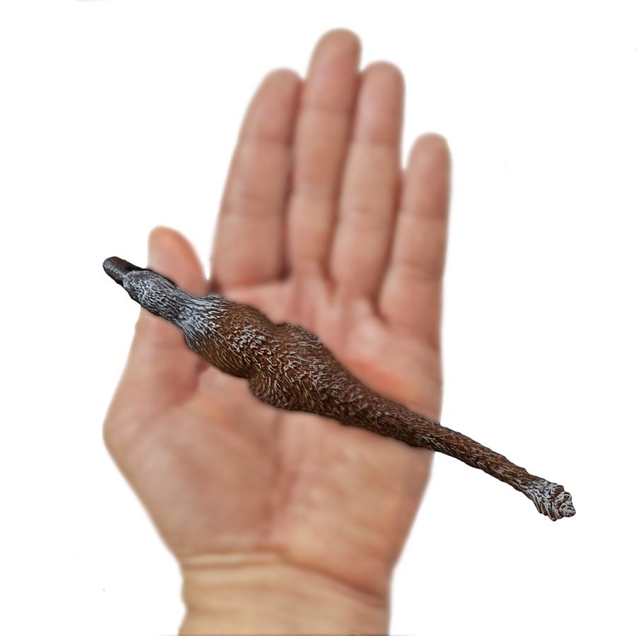 Collecta 80016 ナヌークサウルス 恐竜フィギュア |  | 05