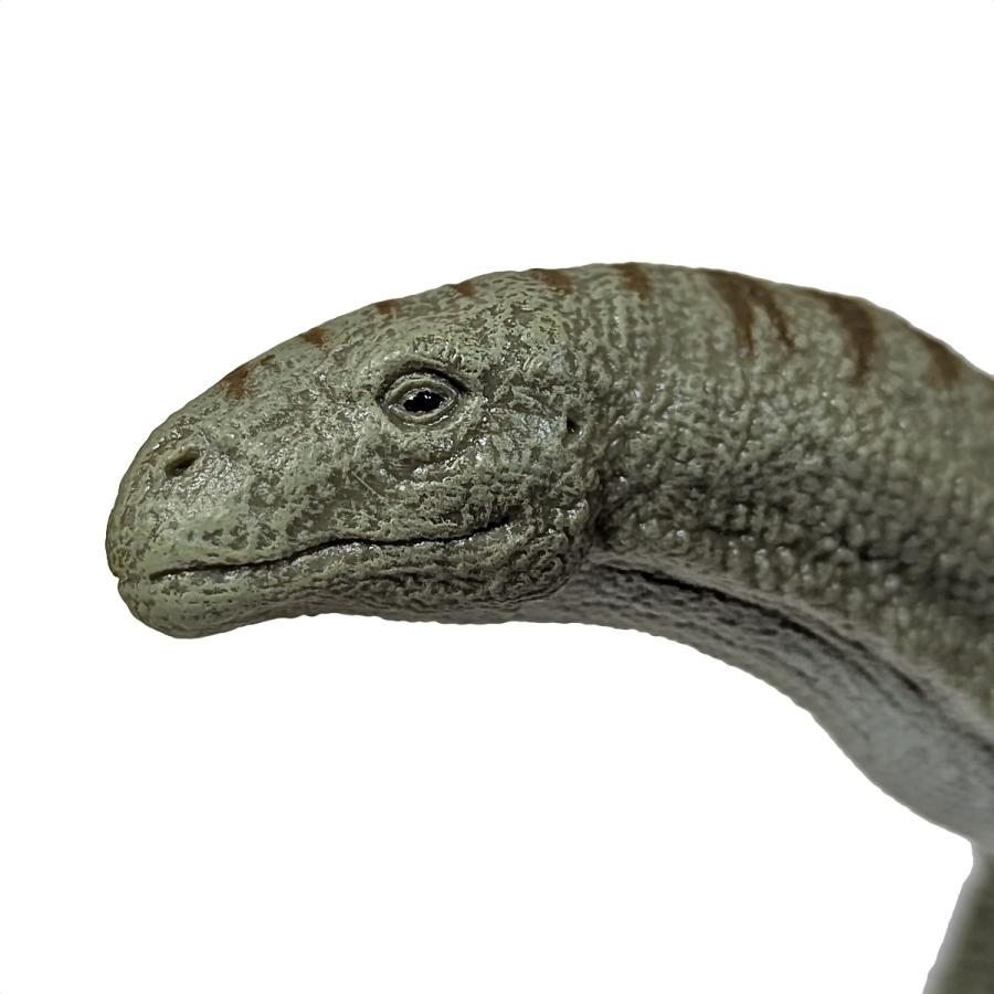 Collecta 80031 インゲンティア　プリマ DX  恐竜フィギュア |  | 03