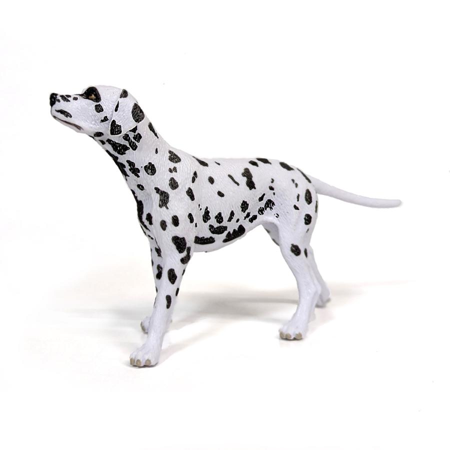 Collecta 80040 ダルメシアン 動物フィギュア : 動物フィギュアの箱庭