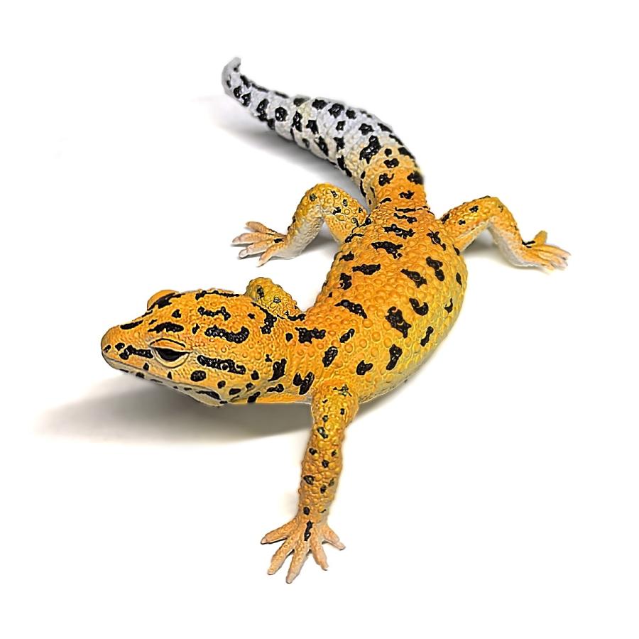 Collecta 80043 ヒョウモントカゲモドキ  動物フィギュア |  | 02