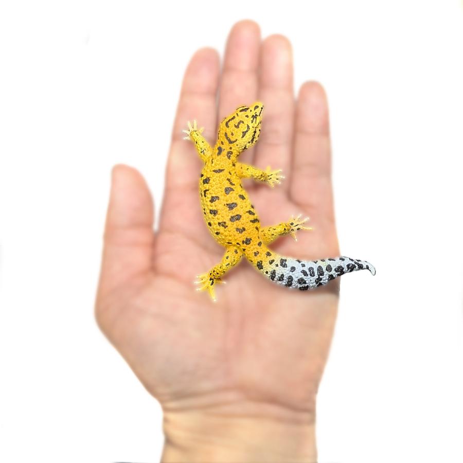 Collecta 80043 ヒョウモントカゲモドキ  動物フィギュア |  | 03