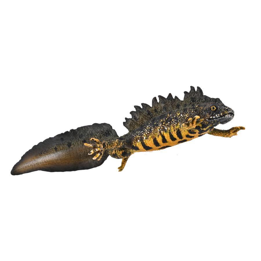 Collecta 80064 オオイモリ 動物フィギュア | 