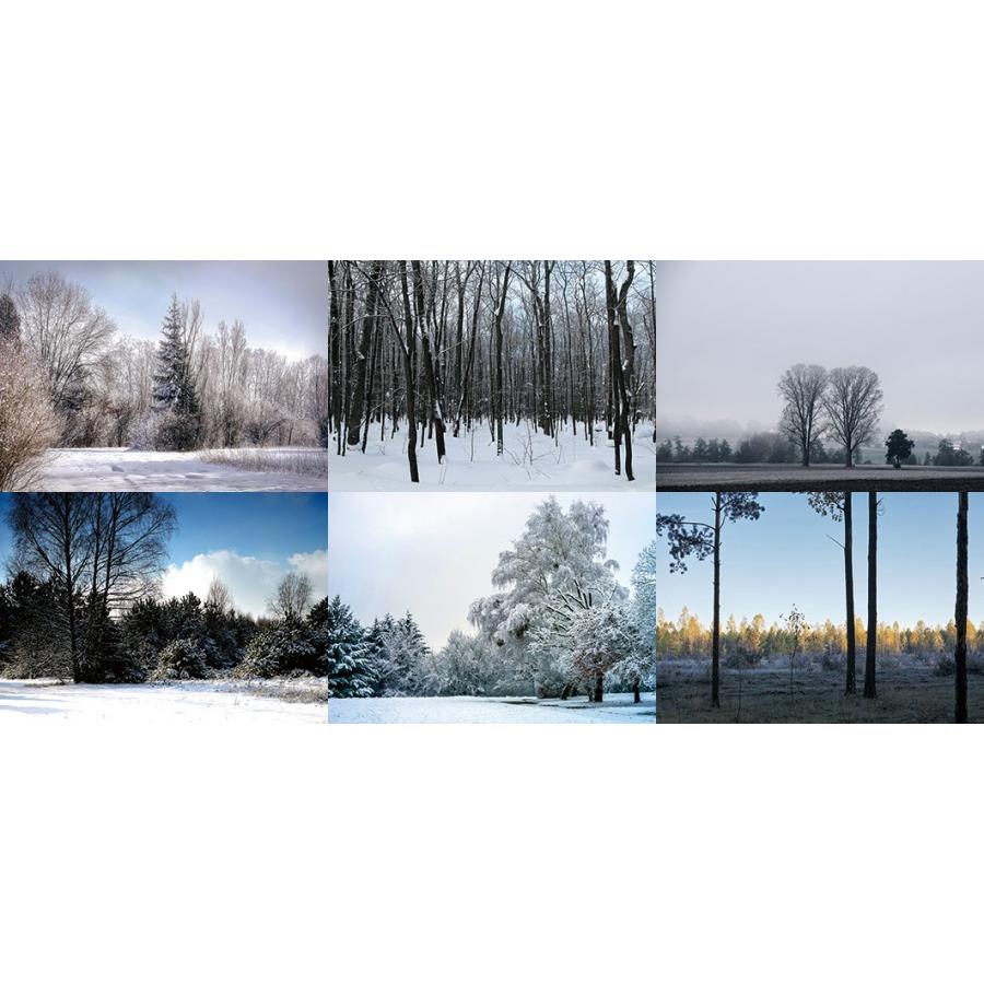 【ジオラマ】箱庭技研 ジオラマシートいろいろ ジオラマシートe ウィンターセットA 冬 雪 森 背景シート 3枚